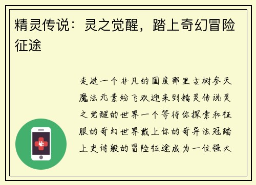 精灵传说：灵之觉醒，踏上奇幻冒险征途